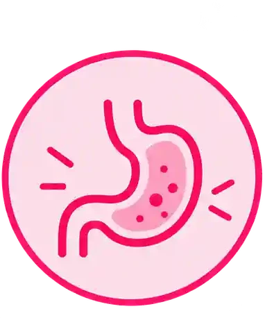 Supports Digestion icon